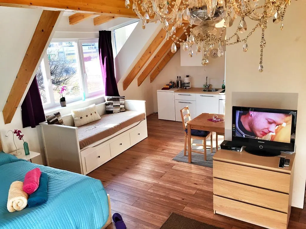 Book-A-Room Salzburg Apartment 5-6-7-8 Ferienhaus